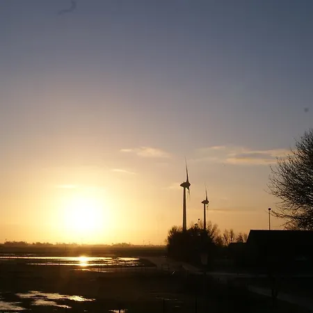Sielmoewe Neuharlingersiel